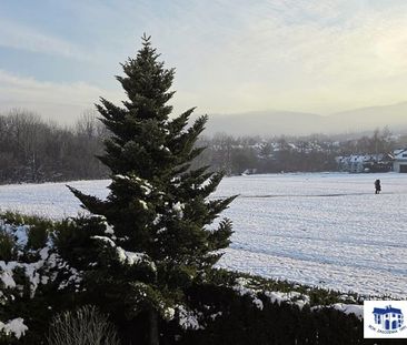 Bielsko-Biała, - Zdjęcie 5