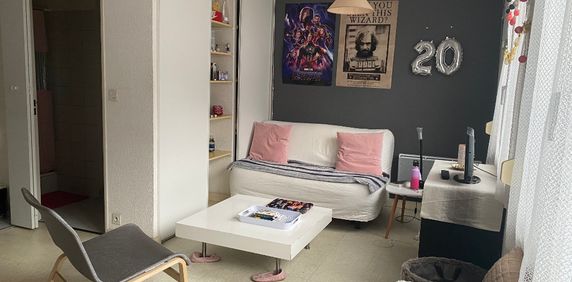 Appartement en location à Clermont-Ferrand Quartier Jardin Lecoq/Facultés - Photo 2
