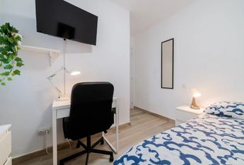 Senda del Secanet, Valencia, Valencian Community 46035