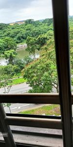 Hougang Avenue 7 (Hougang) - For Rent - Photo 3