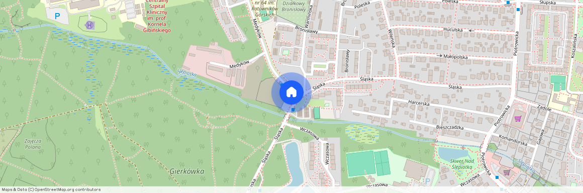 ul. Medyków, Ligota-Panewniki, Katowice, śląskie