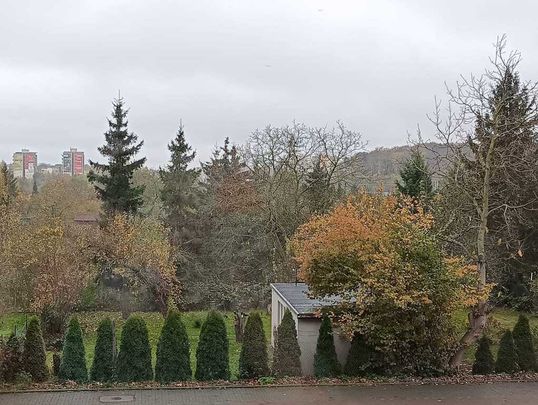 (Symbol 428754) MIESZKANIE na WYNAJEMSzczecin, Śródmieście-Centrum Duża kawalerka z loggią, blisko uczelni ZUT, PUM - Photo 1