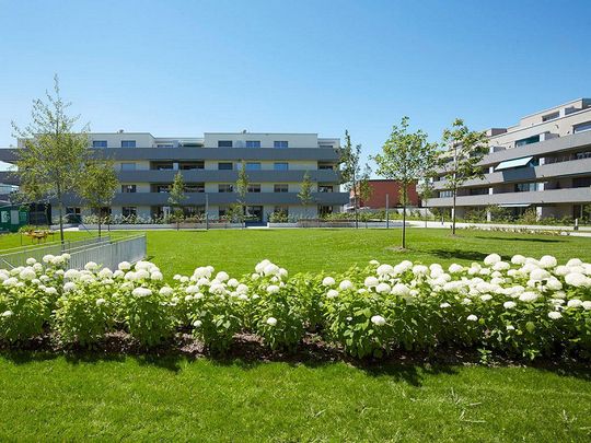 3.5 Zimmerwohnung in Romanshorn - Photo 1