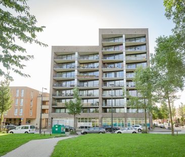 F Dietrich Kahlenbergstr 50C, 1087LL Amsterdam - Photo 5