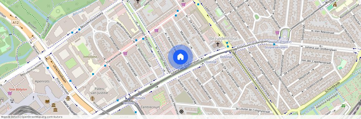 Bezuidenhout-Midden, 2595 GK, Paulinastraat, Den Haag