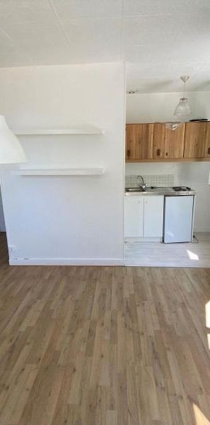 Location Appartement 1 pièce 18m² VERSAILLES 78000 - Photo 1