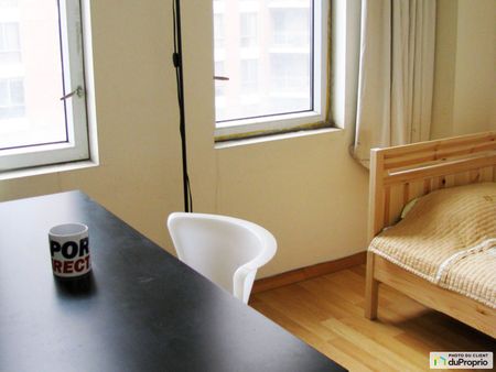 850-1055, rue St-Mathieu, Ville-Marie (Centre-Ville et Vieux-Montréal) à louer - Photo 4