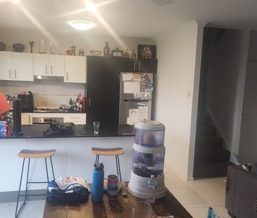 Mountain Creek - Photo 1