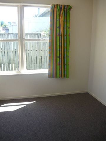 Sunny 2 Bedroom House in Morrinsville - Photo 3