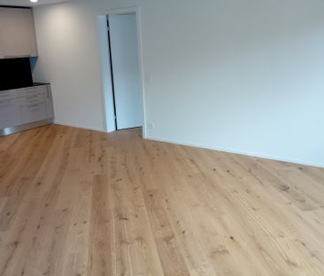 3.5, Appartement neuf (Projet Prisma): Nr. F53, voir vidéo - Foto 2