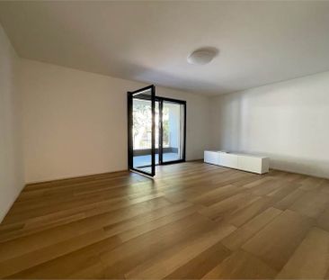 Gudo, appartamento 2.5 locali con terrazzo - Photo 4