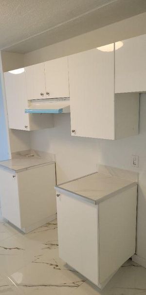 Très Bel Appartement 4 1/2 à Louer - Boulevard Des Sources - DDO - Aussi 3 1/2 - Photo 1