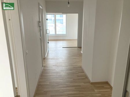 Genießen Sie die riesige Terrasse mit Panoramablick im neuen Wohnviertel Alte Poststraße, Stellplatz verfügbar! - Photo 2