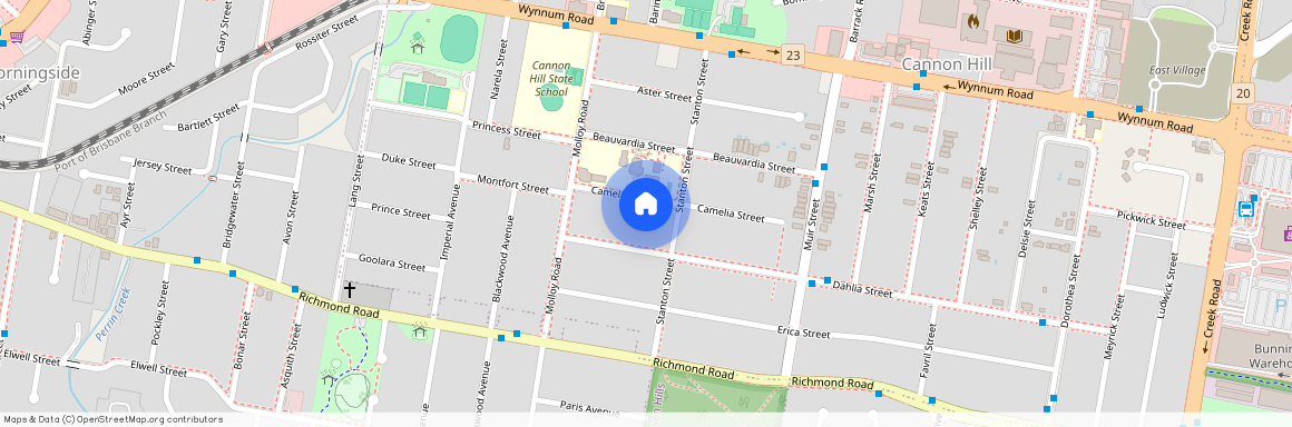 19 Camelia Street, Cannon Hill QLD 4170