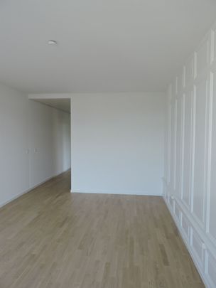 In the middle of the city of Bern! - Photo 1