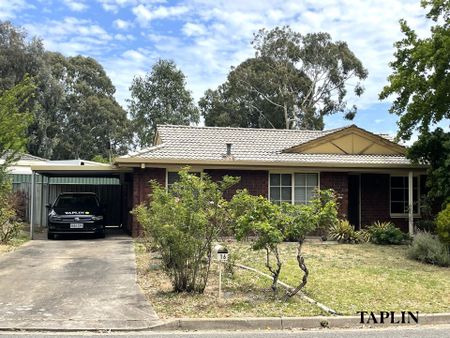 16 Balee Road, Happy Valley - Photo 4