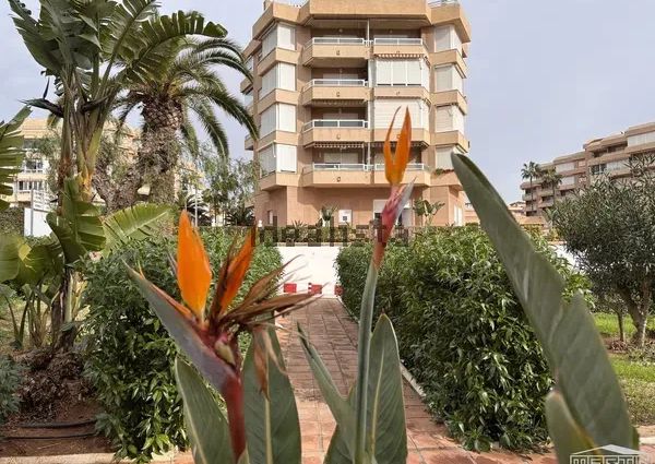 Alquiler de estudio en Urbanización Costa del Oro