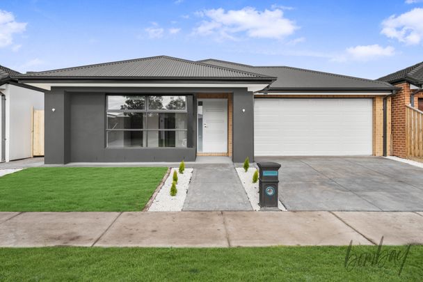 Stunning 4-Bedroom Family Home in Donnybrook - Photo 1