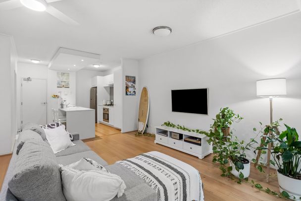 Furnished: Leafy Apartment in Teneriffe - Photo 1