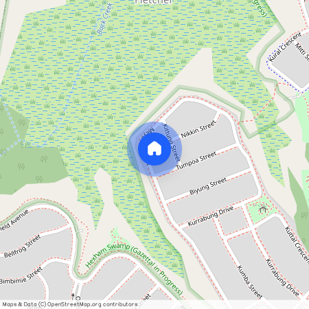 66 Meya Crescent, Fletcher NSW 2287