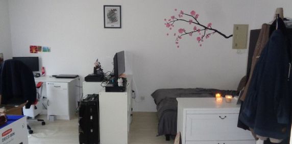 Location Appartement 1 pièce 30m² DOUAI 59500 - Photo 2