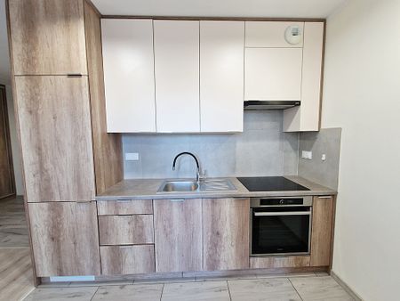 Kawalerka | Ogród | ul. Górna | Kielce - Zdjęcie 5