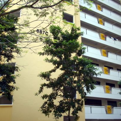 Blk 687C Choa Chu Kang Drive (Choa Chu Kang), HDB 4 Rooms - For Rent - Photo 1