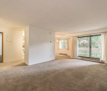 Quadra Woods - 1 Bedroom - Available Now - Photo 4