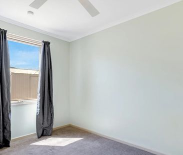 Neat and Tidy - Photo 4