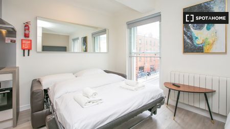 Serviced studio apartment for rent in St Stephen's Green, D2 - Photo 3