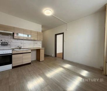 Slunný a úsporný byt 2+KK ve Strakonicích – Kousek do přírody i do ... - Fotografie 4