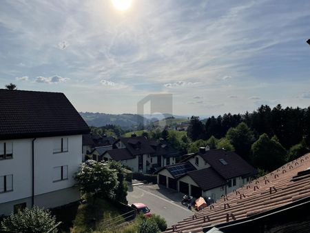 STUNNING VIEW OF THE APPENZELLER LAND - Photo 5