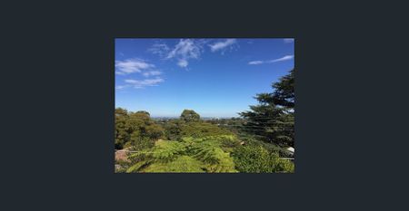 CHARMING CHARACTER HOME WITH A VIEW - Photo 5