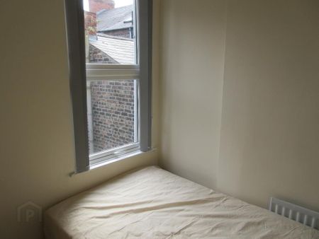 Great 6 Bedroom House, 18 Rugby Road, Queens Botanic Area, Belfast, BT7 1PS - Photo 5