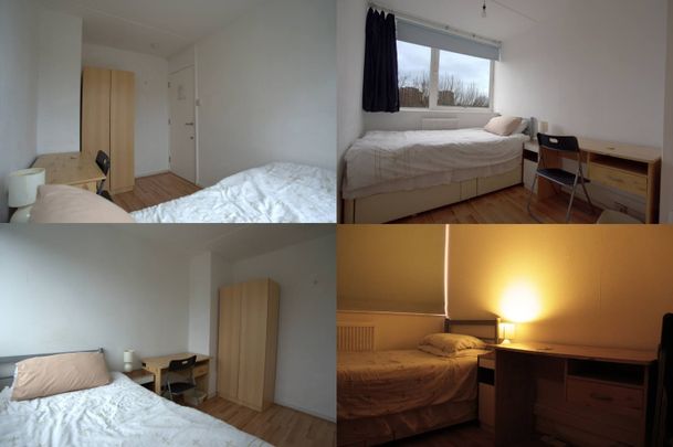 Room in a Shared Flat, Roland Way, SE17 - Photo 1