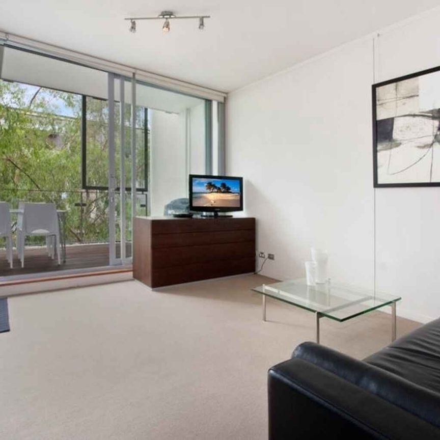 114/2-4 Powell Street Waterloo - Photo 1