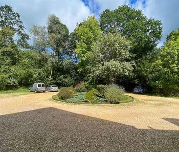 Brook, Lyndhurst, SO43 - Photo 3