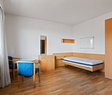 1 room apartment - Photo 1