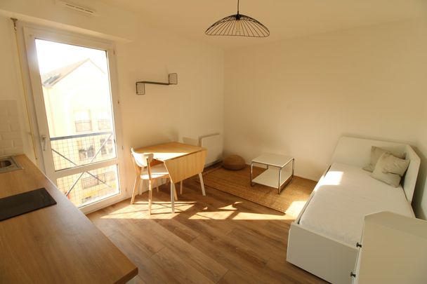 Location Appartement 1 pièce Meublé 19m² NANTES 44100 - Photo 1