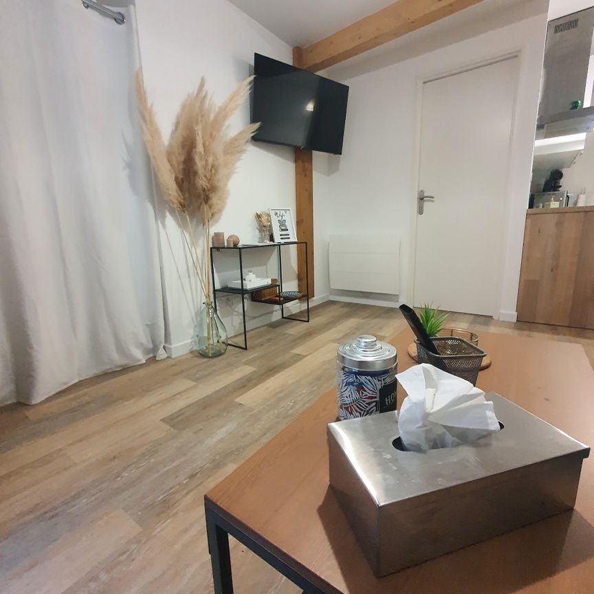 Location Appartement 1 pièce 21m² CASTELJALOUX 47700 - Photo 1