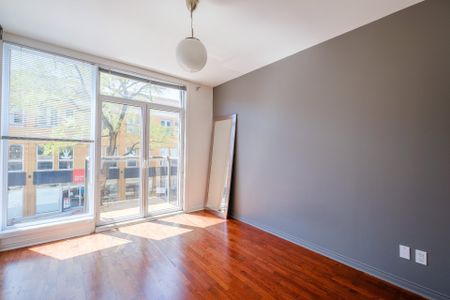 Condo for rent, Montréal (Le Plateau-Mont-Royal) - Photo 3