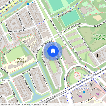 De Savornin Lohmanlaan 142, Bohemen en Meer en Bos, 2566AT, Den Haag