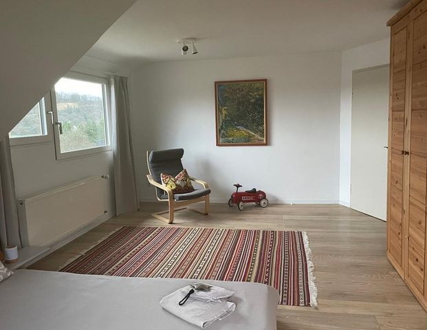 Gepflegte vollmöblierte 3-Zi DG-Wohnung mit Burgblick - Foto 1