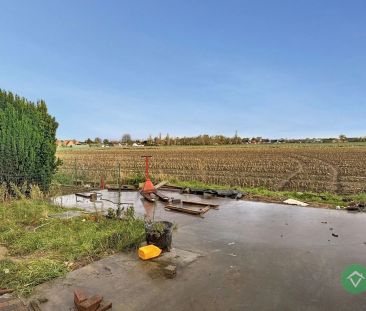 Nieuwbouwwoning te huur in Eernegem – energiezuinig en instapklaar - Photo 2