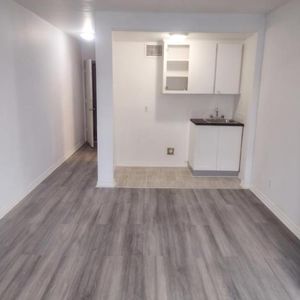 1 CH - 1 SDB - Montréal - $1,395 /mo - Photo 2