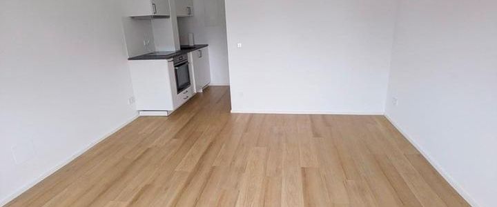 Stilvolles und helles Appartement in Obergiesing ab sofort zu vermieten - Foto 1