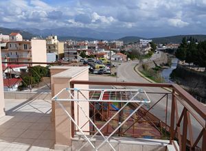 Studio/Γκαρσονιέρα για ενοικίαση - Μεσσαπία, - Photo 1