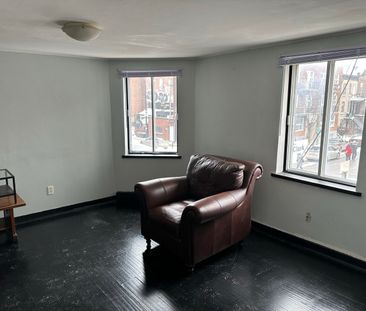 Condo for rent, Montréal (Le Plateau-Mont-Royal) - Photo 6