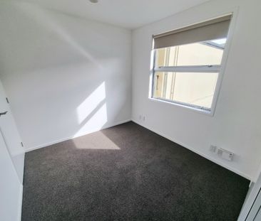 Albany - modern apartment fantastic location - Photo 6