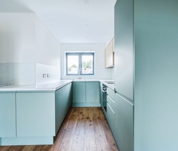 Alfriston Road, Seaford - Photo 4